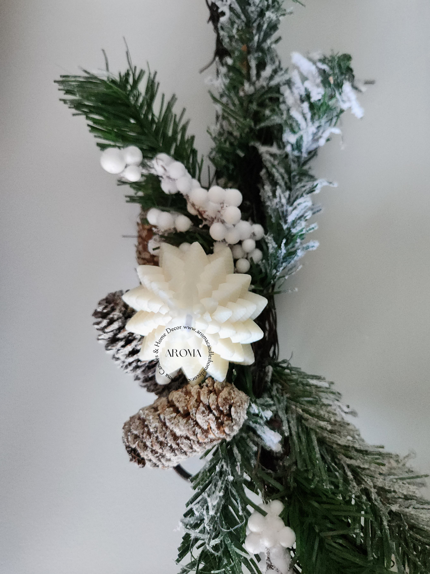 Sapin dansant (Édition limitée)