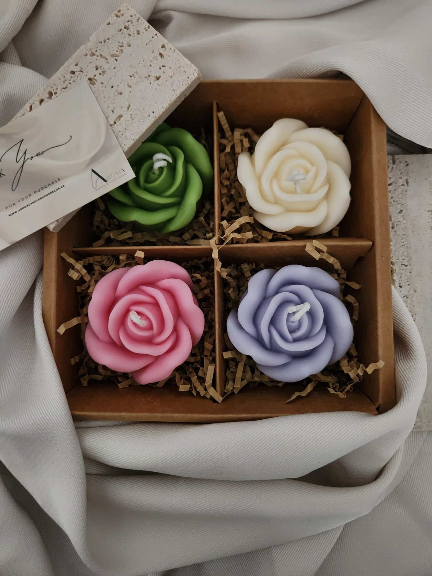 Rose de printemps