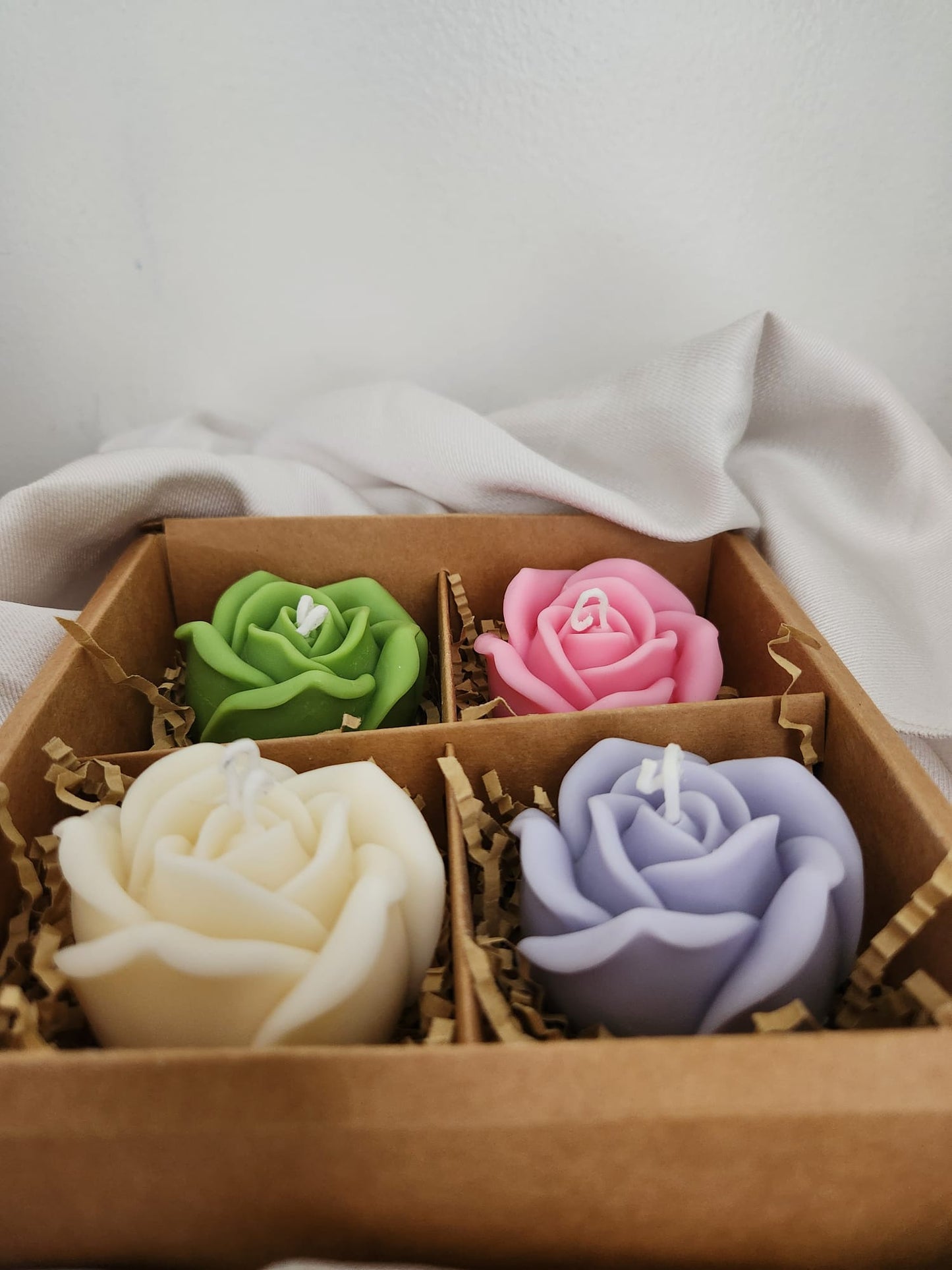 Rose de printemps