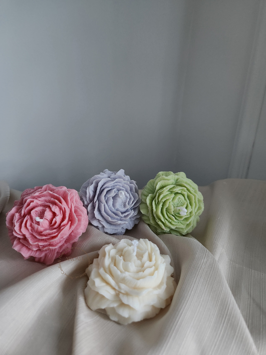 Bougie Pivoine