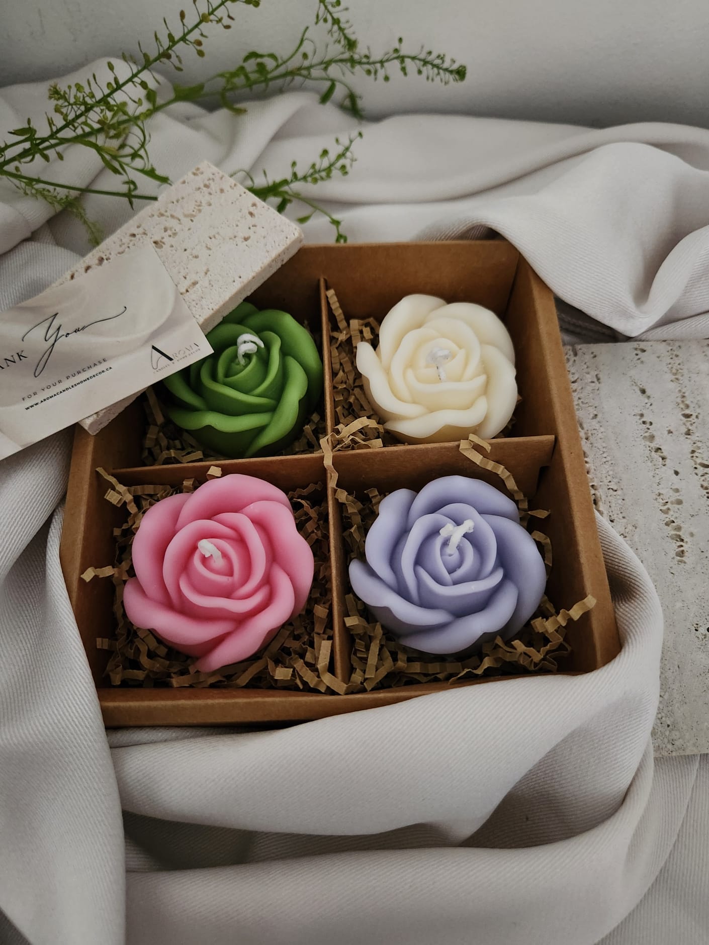 Rose de printemps
