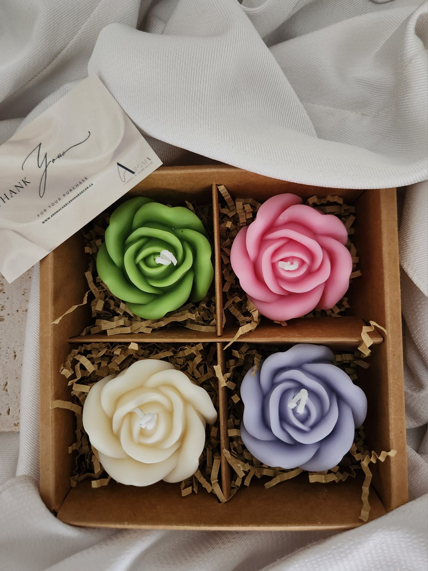 Rose de printemps