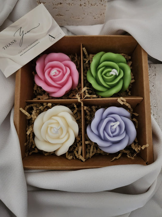 Rose de printemps